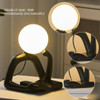 The Pensive Reader Lamps Decoration