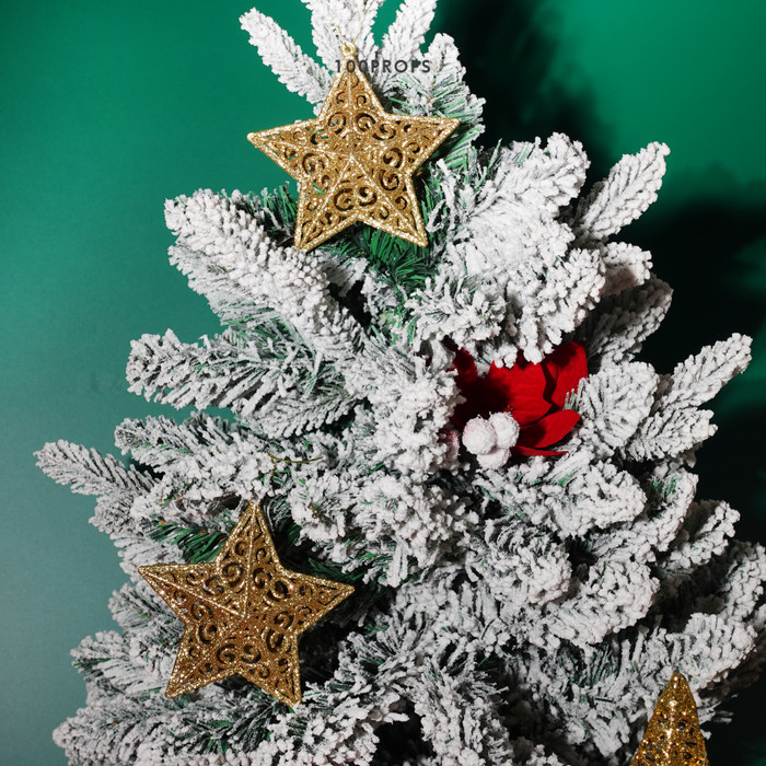 Carina Star Ornament Christmas Decoration