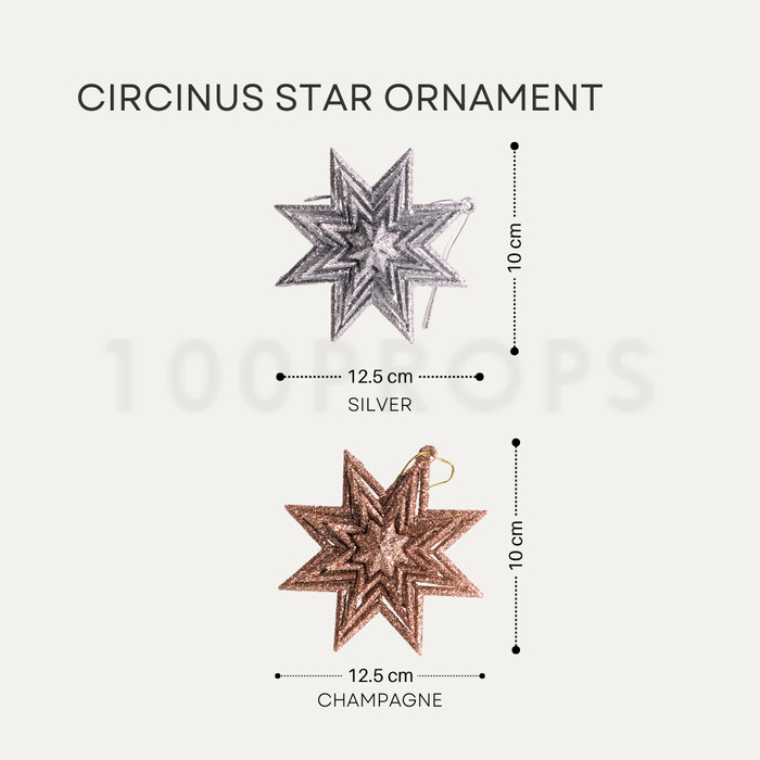 Circinus Star Ornament Christmas decoration