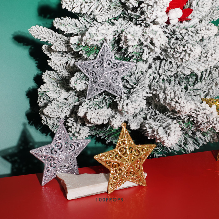 Carina Star Ornament Christmas Decoration