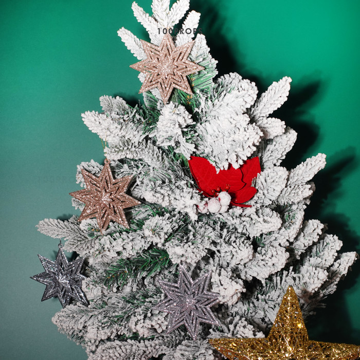 Circinus Star Ornament Christmas decoration
