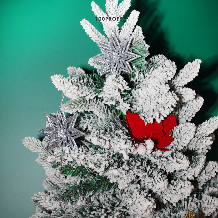 Circinus Star Ornament Christmas decoration