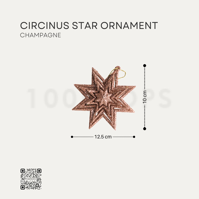 Circinus Star Ornament Christmas decoration
