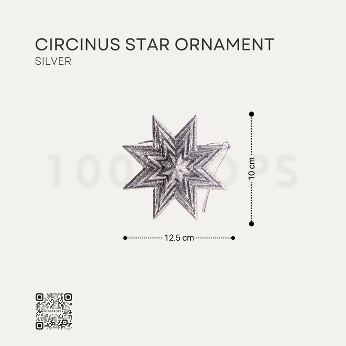 Circinus Star Ornament Christmas decoration