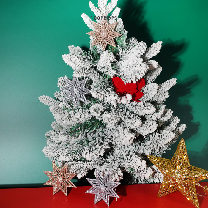 Circinus Star Ornament Christmas decoration