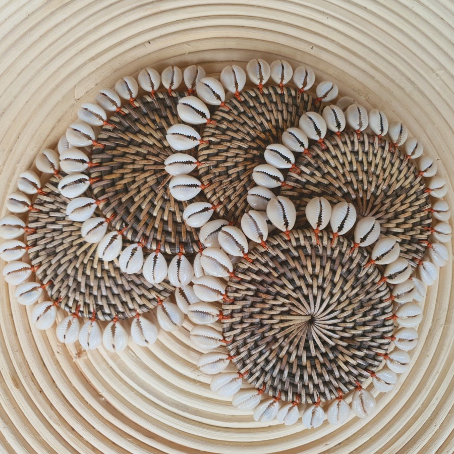 coaster + shell