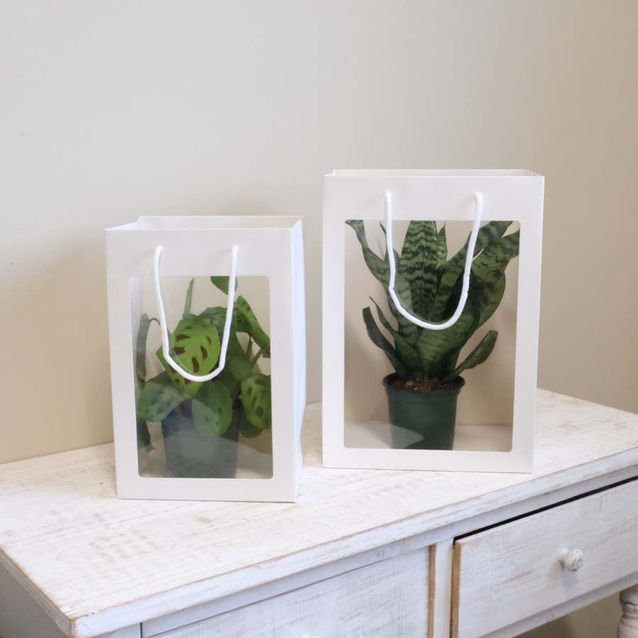Plants Bag Hampers Kado Tas Shopping Tanaman