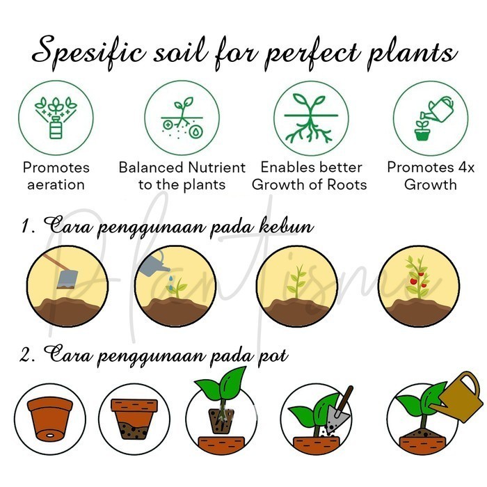 Adenium Bloom Kamboja Soil Mix - Media Tanam Porous Kering Anti Busuk