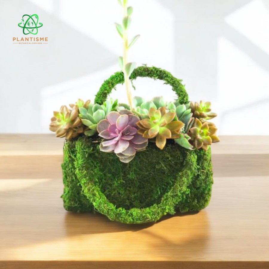 Clutch Succulent Bag In Moss Verdant Plantisme Collection