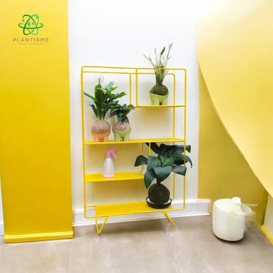 Alana Yellow Banana Edition Cheerful Rak Besi Tanaman Organizers