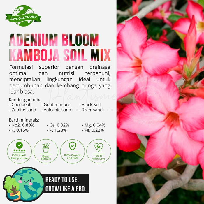 Adenium Bloom Kamboja Soil Mix - Media Tanam Porous Kering Anti Busuk