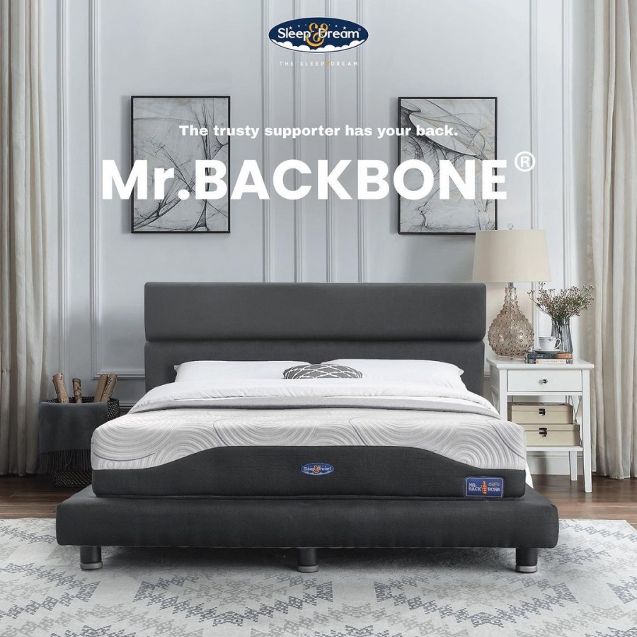 Kasur Sleep & Dream Back Bone / Sleep & Dream Springbed Back Bone (Fullset) 