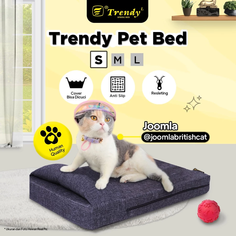Trendy Pet Bed (S) Anti Slip Busa Rebonded (Tempat tidur anjing kucing / hewan peliharaan)