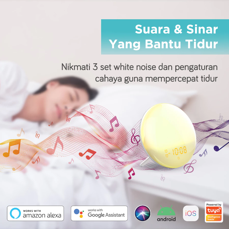 BARDI Smart Wake Up Light Clock FM Radio Compability