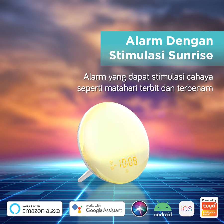 BARDI Smart Wake Up Light Clock FM Radio Compability