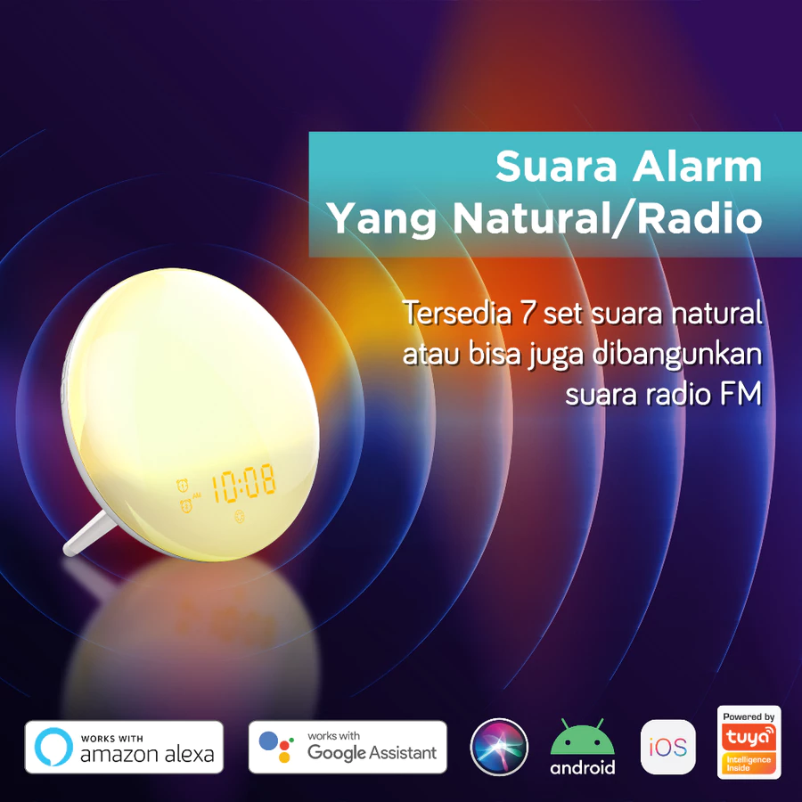 BARDI Smart Wake Up Light Clock FM Radio Compability