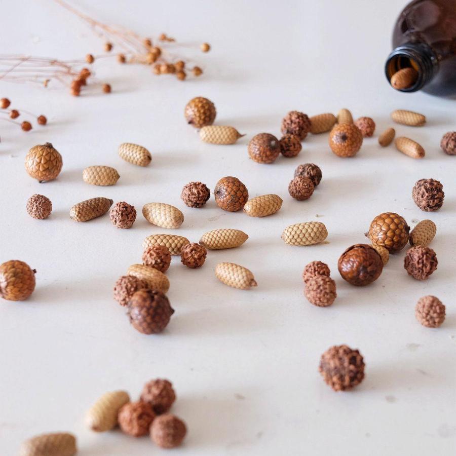 Properti Foto ala Dekayu - Biji-bijian