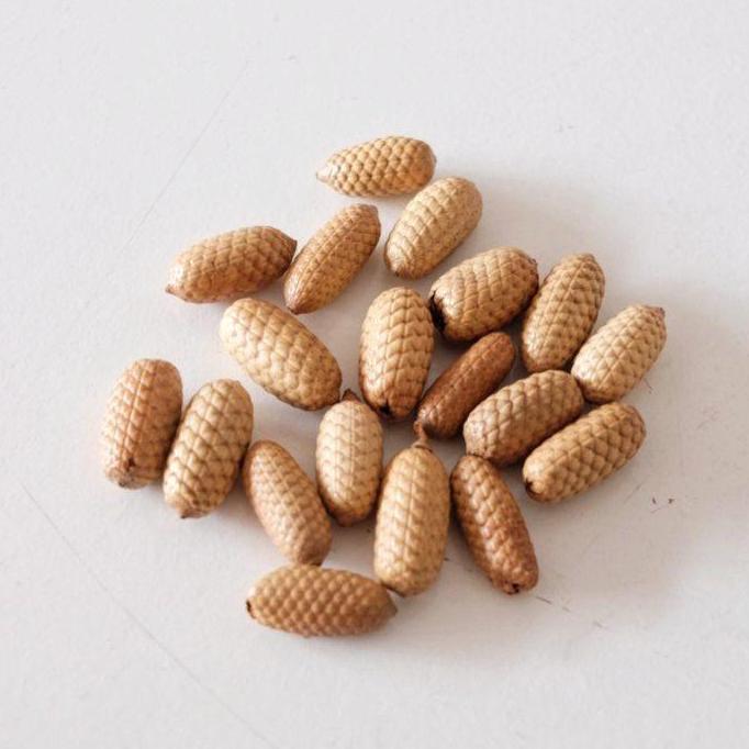 Properti Foto ala Dekayu - Biji-bijian