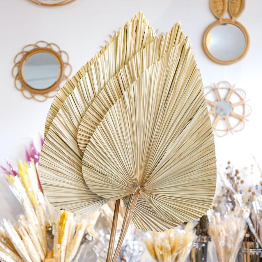 Dekayu Dekorasi Tanaman Kering Daun Palm Jumbo / Dried Flowers
