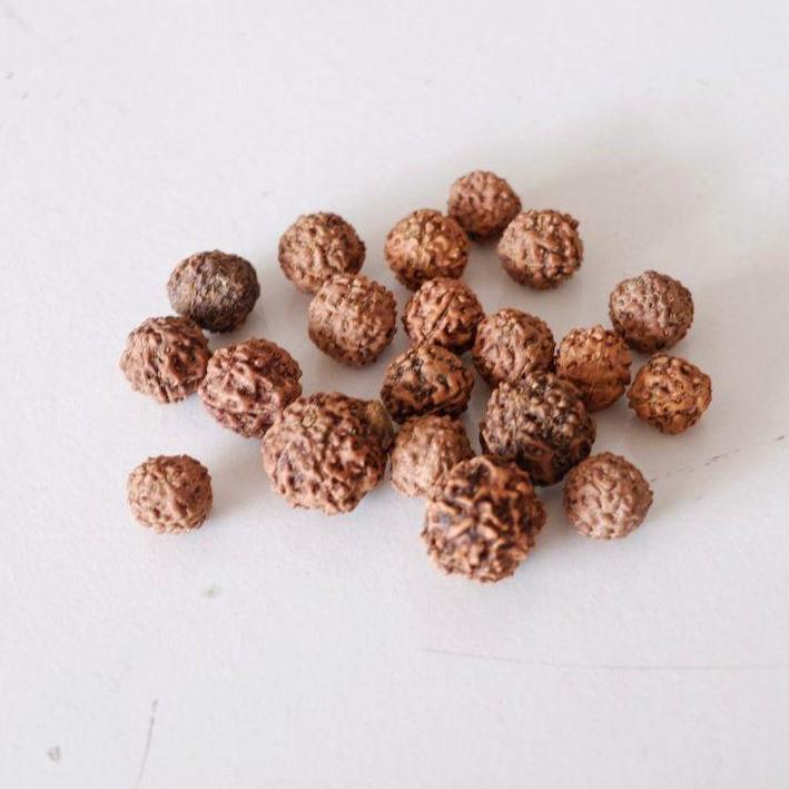 Properti Foto ala Dekayu - Biji-bijian