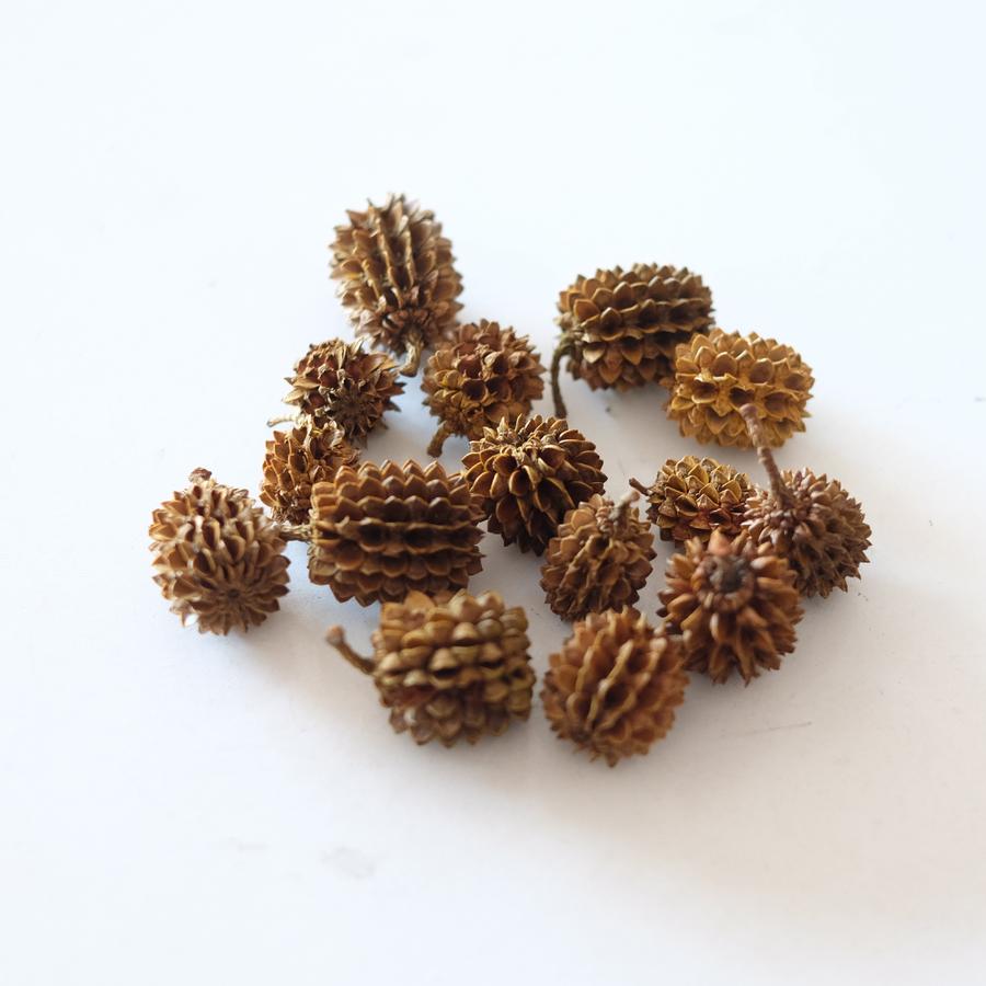 Properti Foto ala Dekayu - Biji-bijian