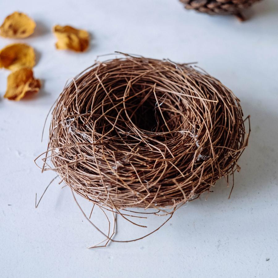 Sarang Burung Cemara | Sarang Telur Burung | Wadah Telur