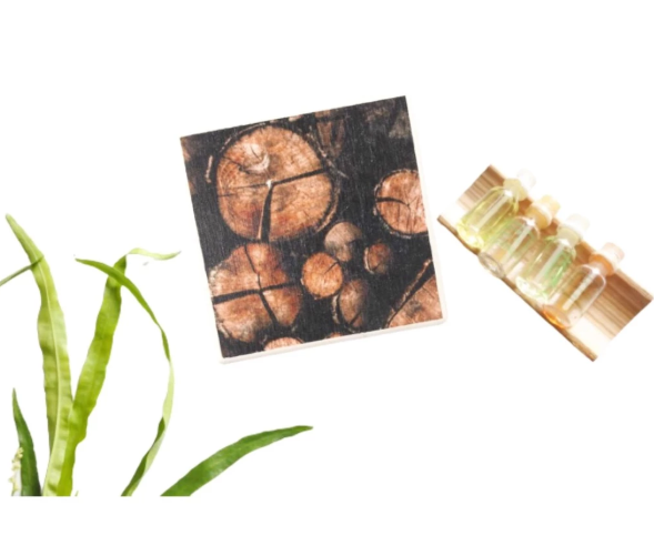 RUNIDAR LIVING COASTER | Tatakan Gelas Diatomite Motif Nature / Cepat Kering / Anti Kuman Bakteri