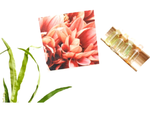 RUNIDAR LIVING COASTER | Tatakan Gelas Diatomite Motif Nature / Cepat Kering / Anti Kuman Bakteri