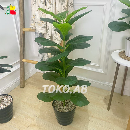 RB6103 RANGKAIAN TANAMAN POHON KETAPANG DAUN BESAR 1 CABANG POT PLASTIK DEKORASI HIASAN RUANG TAMU DEKORASI