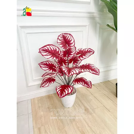 TANAMAN ARTIFICIAL AGLONEMA D18T60 BUNGA KELADI B8180 VARIASI NOMER 11-22 TANAMAN HIAS PLASTIK AESTHETIC HOKI