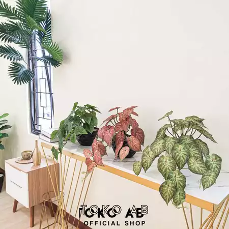TANAMAN HIAS PLASTIK CALADIUM B8439 TANAMAN GANTUNG ARTIFICIAL DEKORASI HIAS BUNGA ARTIFICIAL