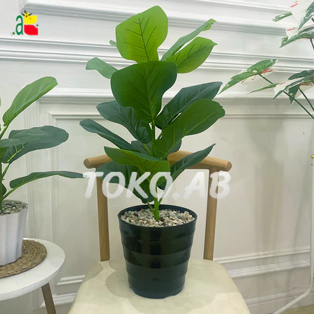 RB6103 RANGKAIAN TANAMAN POHON KETAPANG DAUN BESAR 1 CABANG POT PLASTIK DEKORASI HIASAN RUANG TAMU DEKORASI