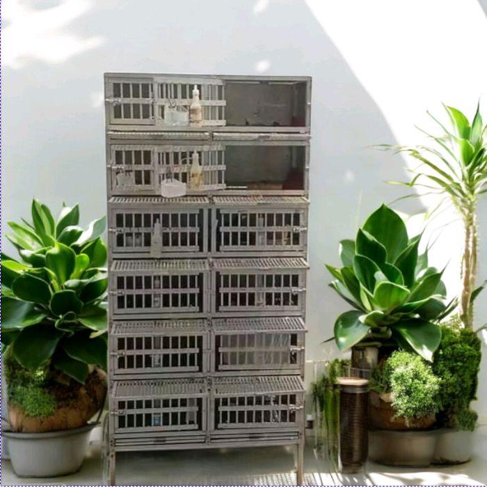 Alumunium Kandang Merpati Umbaran 12 Pintu Buka Tutup Jari Ruangan Bisa Dilebarkan Loyang Kotoran Buka tutup (bekas)