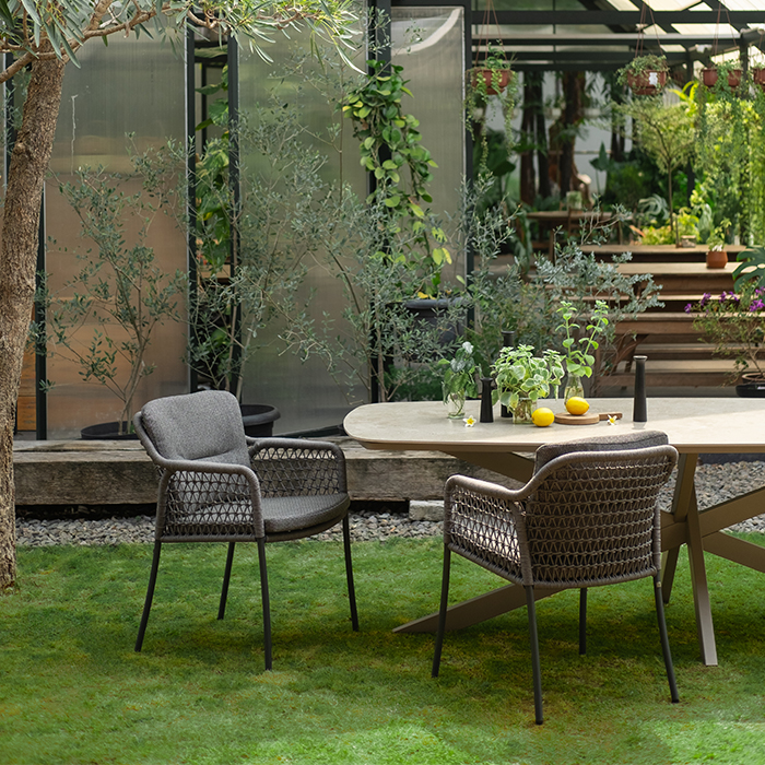 Monte Dining Arm Chair