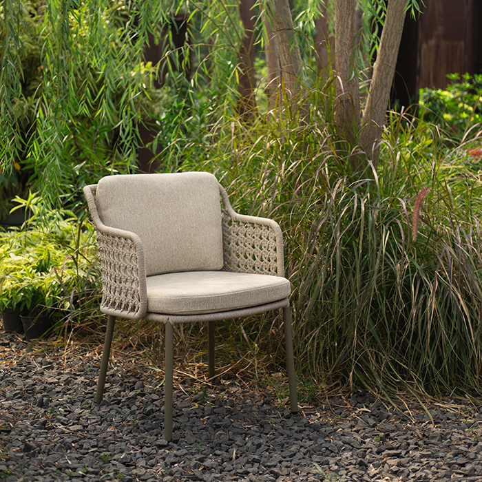Plato Dining Arm Chair 